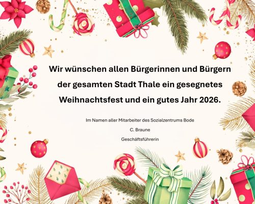 Weihnachten - neues Jahr -Danke IV- Webseite-1